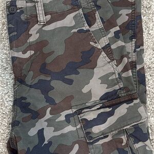 American Eagle Outfitters Green and Brown Cargo Pants